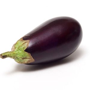 Aubergine Bonica F1