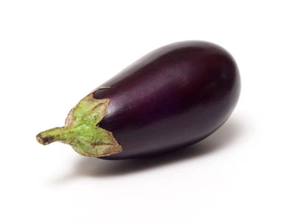 Aubergine Bonica F1