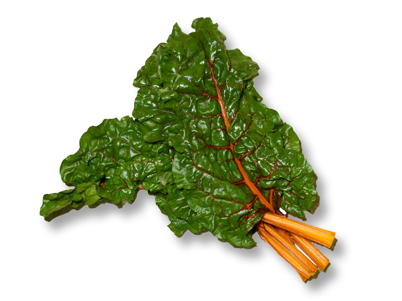 Swiss Chard - Rainbow Orange