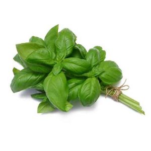 Basilic Genovese