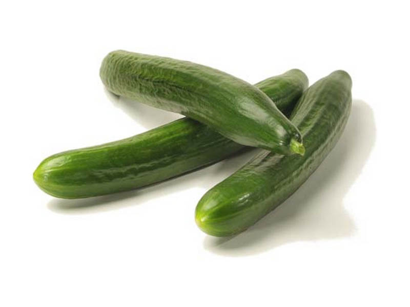 Cucumber - Rollinston's Telegraph