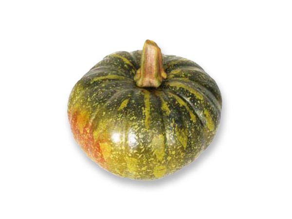 Courge Doux Vert d'Okaïdo