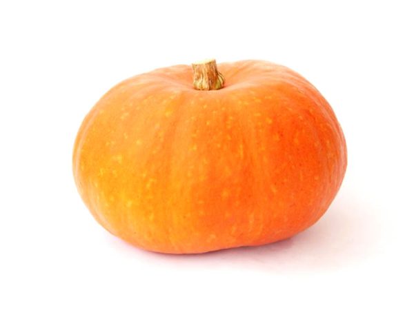 Courge Rouge Vif d'Etampes