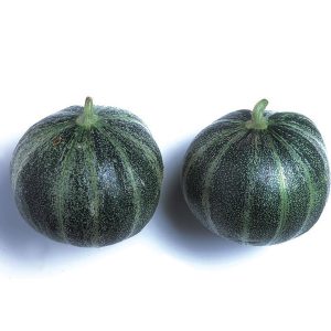 Melon Petit gris de Rennes