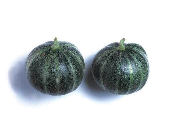 Melon Petit gris de Rennes