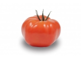 Tomato - Marbonne F1