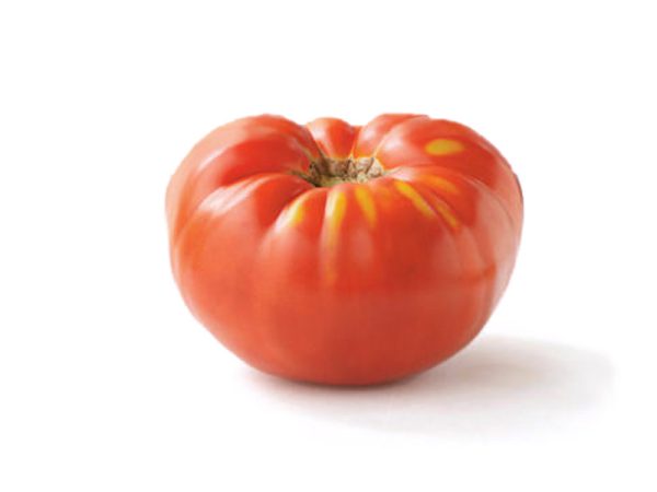 Tomate Brandywine