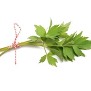 Ache des Montagnes (Liveche)