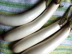 Aubergine Bianca