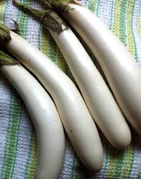 Aubergine Bianca