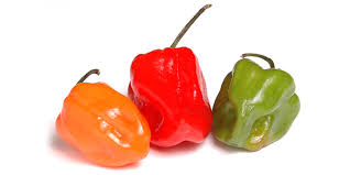 Piment Habanero