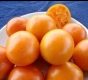 Tomate Orange Queen