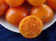 Tomate Orange Queen