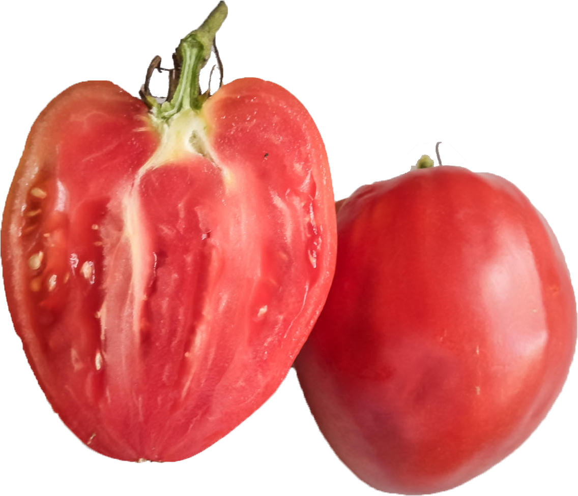 Tom coeur de boeuf rosez