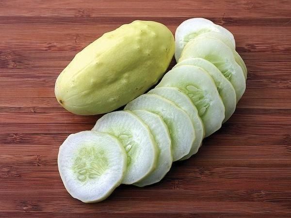 Plant de Concombre White Wonder bio
