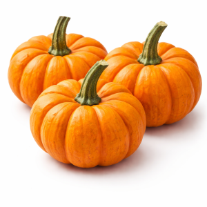 courge jack be little