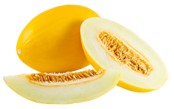 Lot de 50 graines de melon jaune canari 2 - hâtif de type espagnol