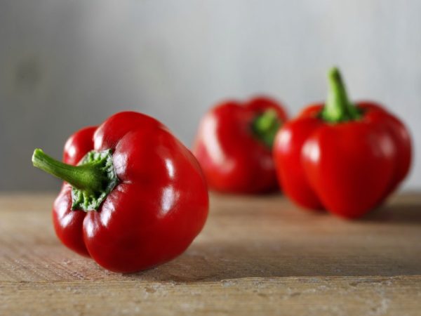 Plant de Poivron Tomate bio
