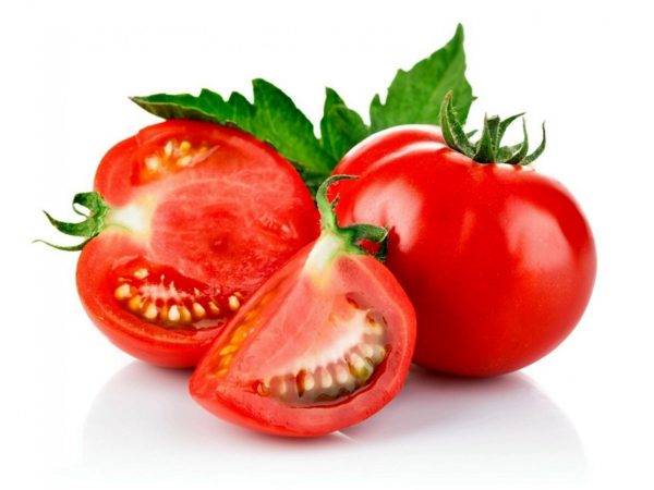 Plant de Tomate Moneymaker bio