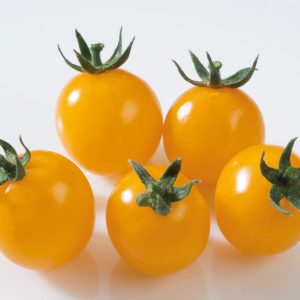 Plant de Tomate Cerise Gold Nugget bio – Image 2