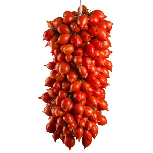 Plant de Tomate du Vesuve "Piennolo Del Vesuvio" bio