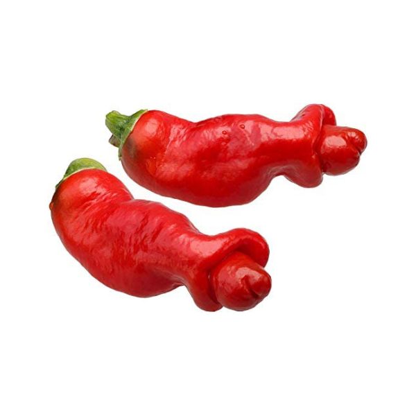 Plant de Piment Pénis bio